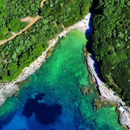 House Jasna Hébergement de vacances