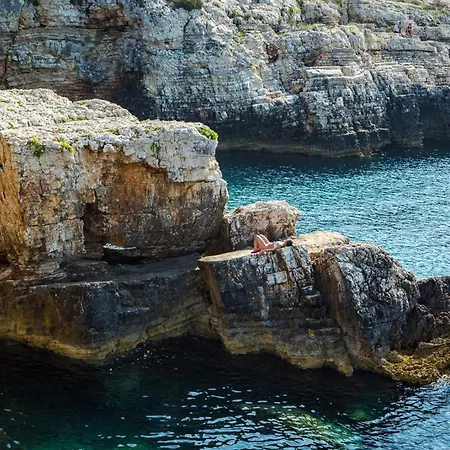 House Jasna Hébergement de vacances